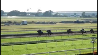 Jump Outs Doomben 30072019 [upl. by Dagall646]