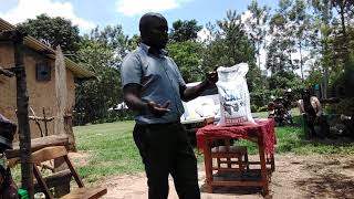 how to feed a calf using milk replacer from bidco land o lakes [upl. by Dugan]