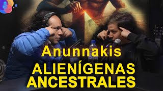 24  REPTILIANOS  ANUNNAKIS  GRISES  Â¿fuimos sus esclavos [upl. by Yenaj]