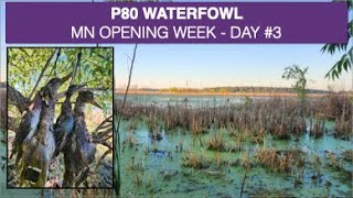 Semaine dOuverture au Gibier dEau Jour 3  MN USA Sept 2024  MN Waterfowl Opening Week Day3 [upl. by Philbert]