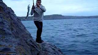 Mackerel fishing at Lydstep pembrokeshire [upl. by Anoniw738]