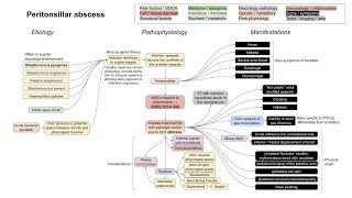 Peritonsillar Abscess  Identification and Treatment [upl. by Yznil]