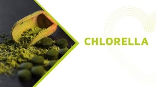 Chlorella Health Benefits Everything You Should Know About this Superfood [upl. by Alrrats587]