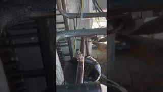 AC copper pipe se pani nikal rha hai trending airconditioning coolingindia coolingsolution [upl. by Intosh749]