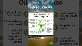 Health Benefits of Oregano Oil [upl. by Gine]