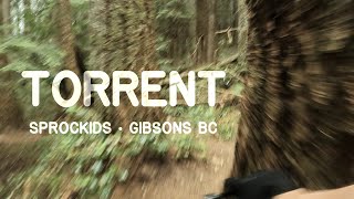 Torrent and New Torrent ❱ Sprockids ❱ Gibsons BC ❱ Downhill Mountain Bike POV [upl. by Lamag]