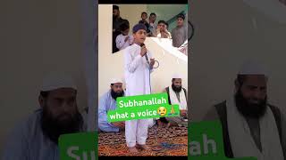 Super Hit Naat  Mehfil NaatePaak  12 Rabi ul Awal Mubarak  Milad at Home  Hassan Ali Official [upl. by Bram]