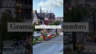 Gramado em Dezembro tudo o que você precisa saber shorts [upl. by Gans]