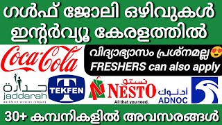 Gulf job vacancy malayalam  Fresher gulf jobs  Gulf oil and gas jobs  Gulf interviews in kerala [upl. by Olympium]