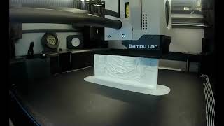 Lithophane 4 Sided Lamp made using a Bambu Labs X1C 3D Printer [upl. by Anirda]