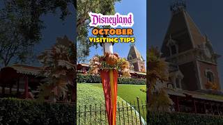 What to Know Before Visiting Disneyland in October 2023 [upl. by Groves]