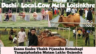 Desi Local Cow Mela [upl. by Isahella863]