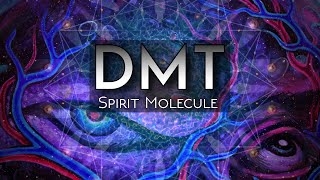 DMT amp the Nature of Reality Consciousness Spirit Realms Multiverse Theory [upl. by Naux584]