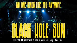 Black Hole Sun by No One Sings Like You Anymore Live from Grand Social Dublin  8th March 2024 [upl. by Fonseca]