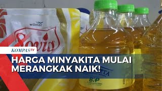 Minyak Goreng Subsidi Langka di Berbagai Daerah Harga Mulai Merangkak Naik [upl. by Jonme]