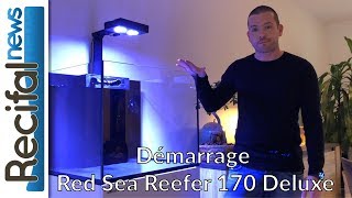 VLOG1 Geoffrey  Démarrage Red Sea Reefer 170 Deluxe [upl. by Linn]