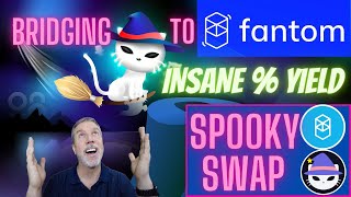 Bridging to FANTOM to make insane yields on Crypto Rebase Projects Using SpookySwap [upl. by Tabby]