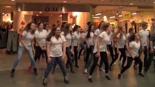 Bundesweite Flashmob Aktion am 20112015  HLT Bad Leonfelden [upl. by Fonzie]