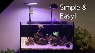 How I setup my mangrove aquarium [upl. by Livingston]