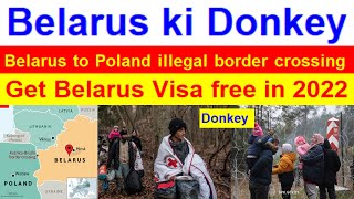 Belarus ki donkey  Belarus Visa free  Belarus to Poland illegal border crossing  Poland ki Donkey [upl. by Tegdig]