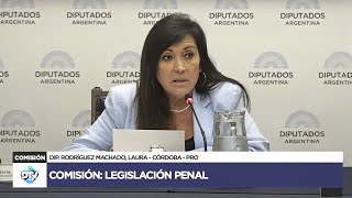 COMISIÓN COMPLETA LEGISLACIÓN PENAL  19 de noviembre de 2024  ORDEN PÚBLICO  Diputados Argentina [upl. by Yengac367]