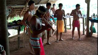 Embera Tribesmen music [upl. by Annawat]