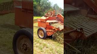 Massey Ferguson 208 baler machine shorts agriculture modernfarmer youtbeshorts cropmanagement [upl. by Loleta]