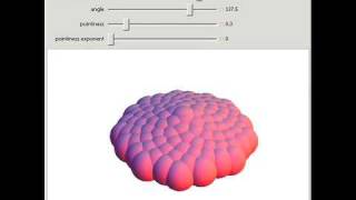 Phyllotaxis Spirals in 3D [upl. by Anurb]