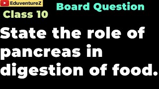 State the role of pancreas in digestion of food Class 10 Board Biology Sample Questions [upl. by Niwrad]