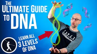 How to do the DNA Yoyo Trick 🧬 All 3 Levels of DNA Beginner to Pro [upl. by Leipzig]