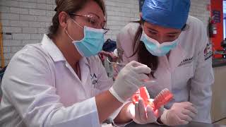 Bienvenida Generación 2019 de la carrera de Cirujano Dentista [upl. by Mateya]