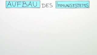 Aufbau des Immunsystems Teil I  Die unspezifische Abwehr  Biologie  Humanbiologie [upl. by Odnaloy]