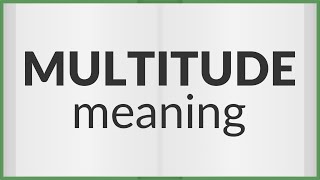 Multitude  meaning of Multitude [upl. by Ahidam]