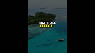 Pratfall Effect lawofattraction power success psychology quotes daily [upl. by Enilecram193]