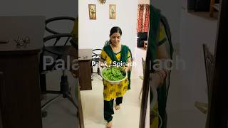 Restaurant Style Sative Palak paneer shots food cooking [upl. by Suhail211]