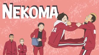 Meanwhile in Nekoma  Haikyuu TikTok Compilation [upl. by Hannis]