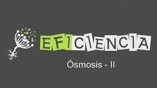 ÓSMOSIS II Membrana semipermeable Paso disolvente Inversa y Directa Turgencia Plasmólisis [upl. by Fineman]