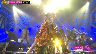 【TVPP】EXO  Wolf 엑소  늑대와 미녀  Show Music Core Live [upl. by Gretta]