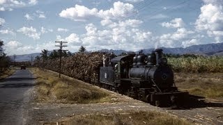 Documental Zafra  Puerto Rico Parte 3 [upl. by Ajet]