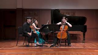 Anton Arensky  Piano Trio No 1 in D minor Op 32 [upl. by Onder]