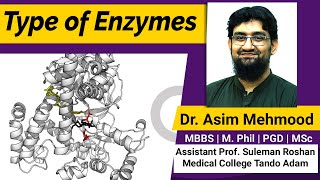 Types of Enzymes  Parts of Enzymes  Hindi  Urdu [upl. by Slavin]