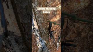 Saddle Hunting Setup hunting deer saddlehunting shorts fyp countrymusic [upl. by Elleinaj]