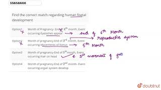 Find the correct match regarding human foetal development [upl. by Nick]