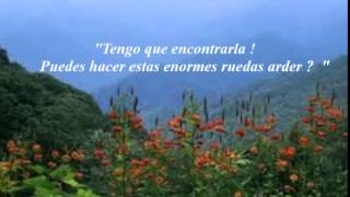 Ronnie Milsap  Smokey Mountain Rainsubtitulado en español [upl. by Fotzsyzrk964]