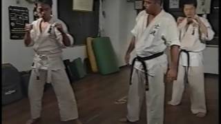 Shidokan Videos 01 [upl. by Attlee223]