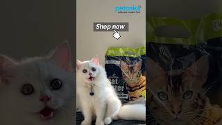 Reviewing Petoska Cat Litter  Best Cat Sand In Market petproducts [upl. by Noived]