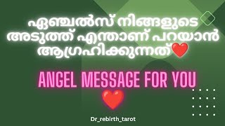 നിങ്ങൾക്കുള്ള ഏയ്ഞ്ചൽ മെസ്സേജ് എന്താണ്🧿💓Angel Message For You😯 latesttarot relationship blessing [upl. by Maillw]