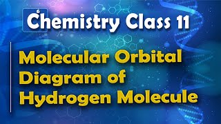 Molecular Orbital Diagram of Hydrogen Molecule  Nature of Chemical Bond  Chemistry Class 11 [upl. by Airitac]