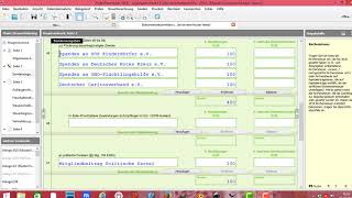 Elster  ElsterFormular Steuererklärung Sonderausgaben Spenden und Mitgliedsbeiträge [upl. by Pubilis236]