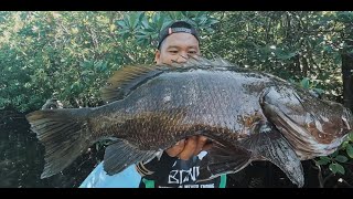 Topwater Black Bass Montage [upl. by Melc997]